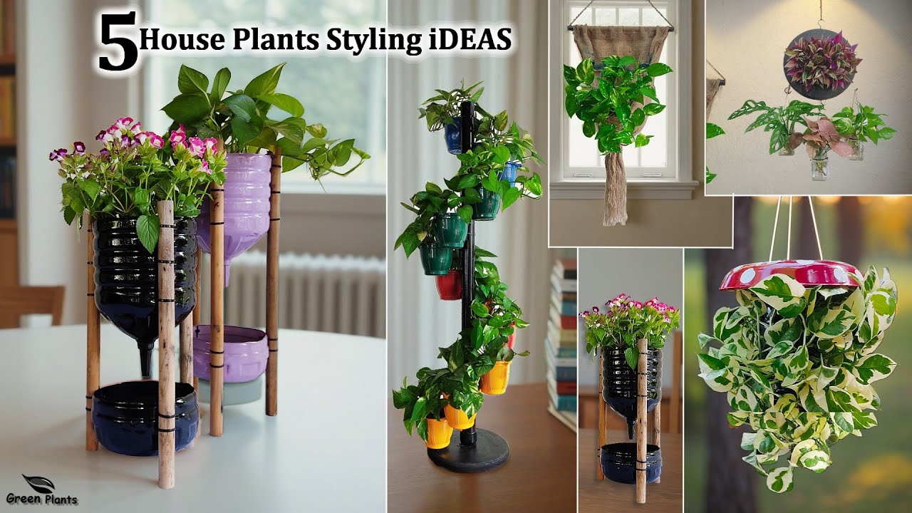 Breathe Life into Your Home:5 Ways to Style & Arrangements Ideas for Your House Plants//GREEN PLANTS