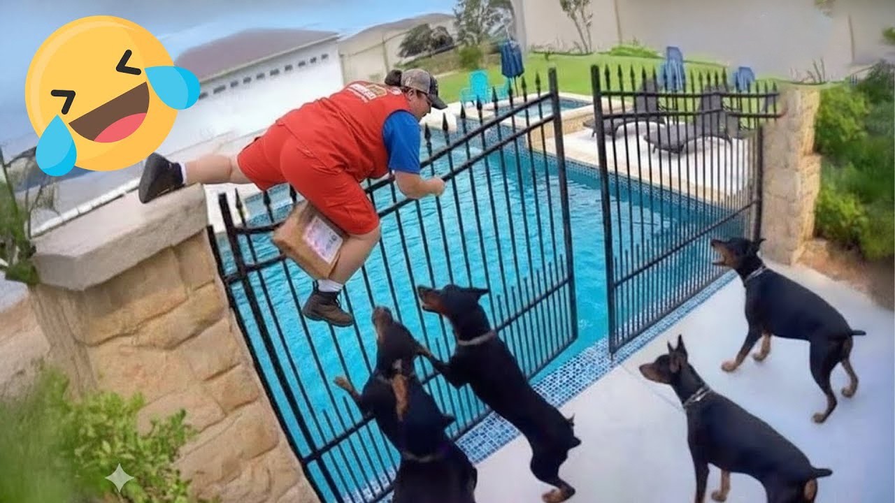 Instant Regret Fails Compilation 2026 | Funny & Hilarious People Life 😆 Best Fail Of The Week #32