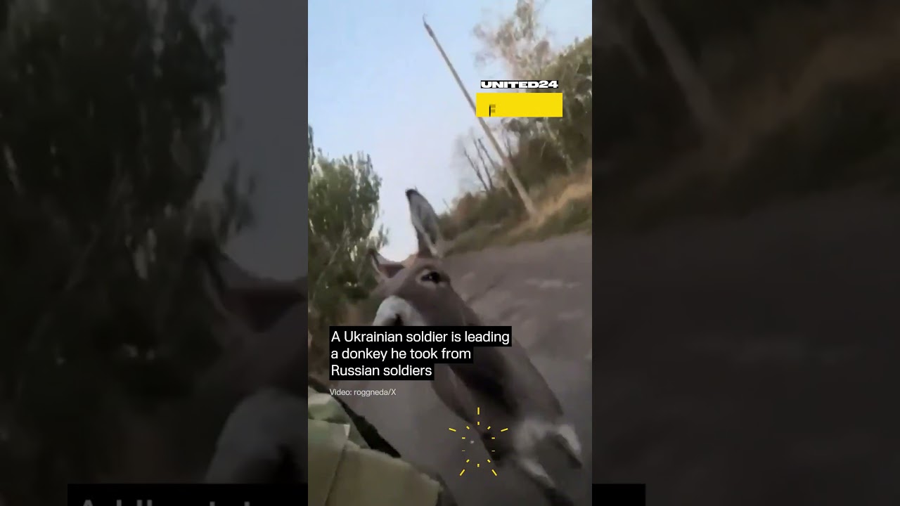 Ukrainian Soldier Is Leading a Donkey He Took From Russian Troops #warinukraine