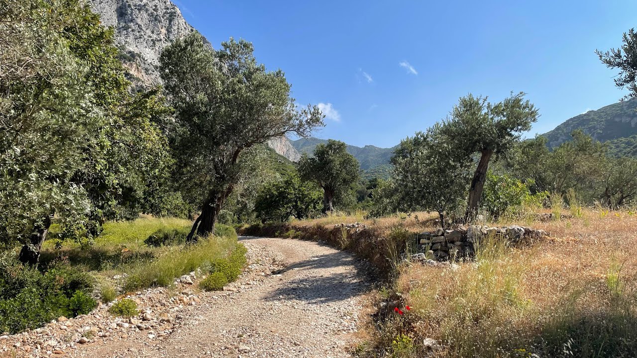 Trail running @ Votsalakia, Samos - Greece 2023