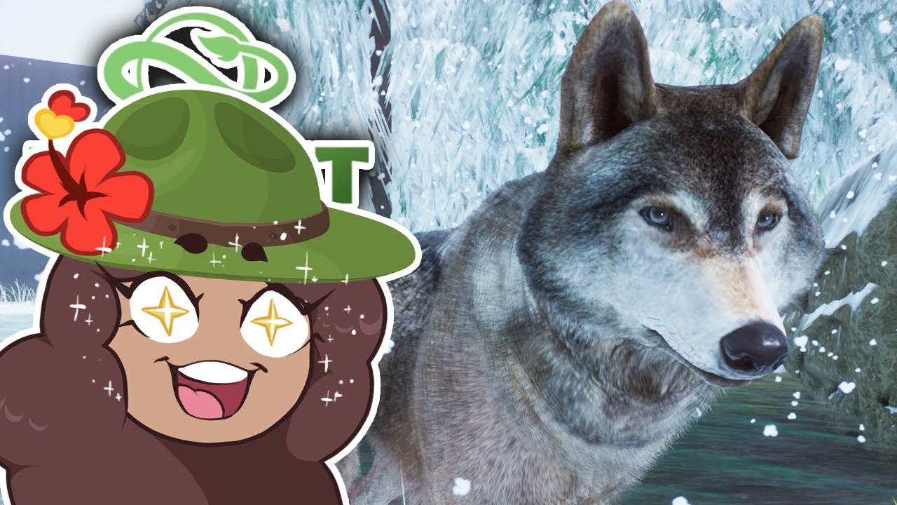 В ПОИСКАХ ВОЛКОВ!! 🐺 ЗАПОВЕДНИК ДИКИХ ВОЛКОВ • №1