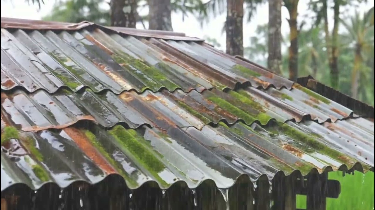 ASMR Rain Sounds for Relaxation | Fall Asleep Fast & Peacefully