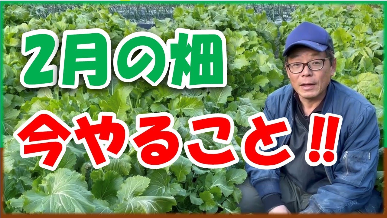 【2月の畑】やっておくべきこと