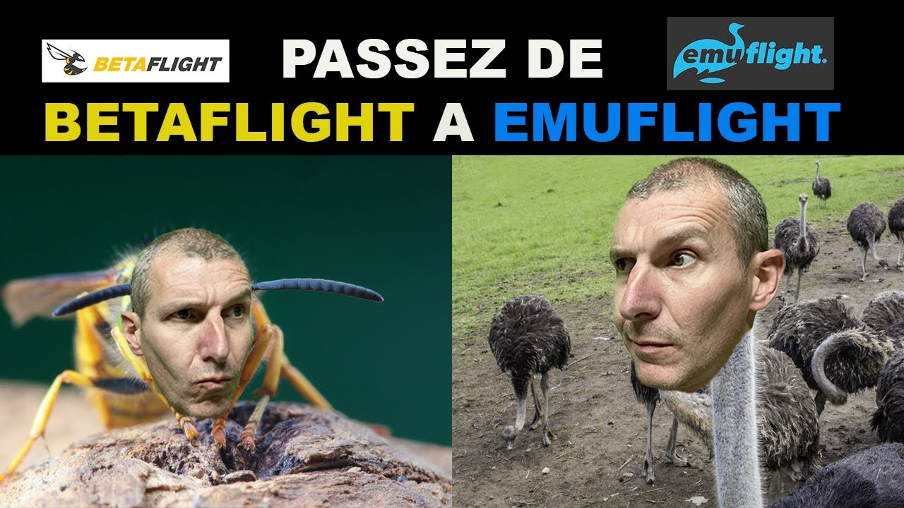 Tuto Passez de BetaFlight a EmuFlight