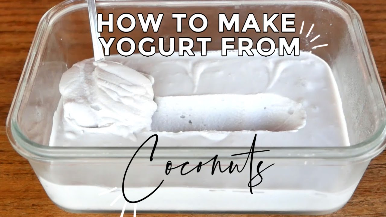 How to Make Yogurt from Coconuts | Fresh Coconut Yogurt | AV Cooking Show