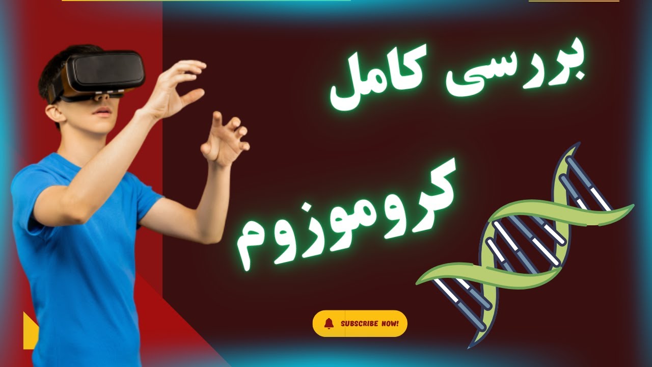 واقعیت مجازی: کاوش سه‌بعدی در ساختار شگفت‌انگیز کروموزوم!