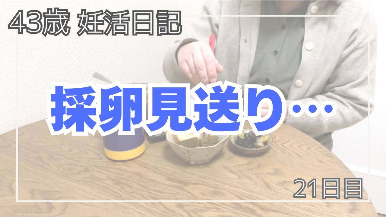 【不妊治療】採卵見送りから、タイミングへ路線変更｜43歳:妊活100日 日記｜21日目　