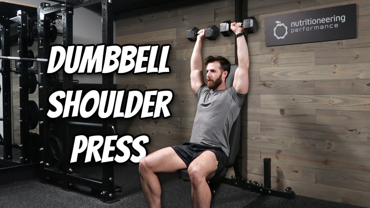 Seated Dumbbell Shoulder Press Correct Movement Path
