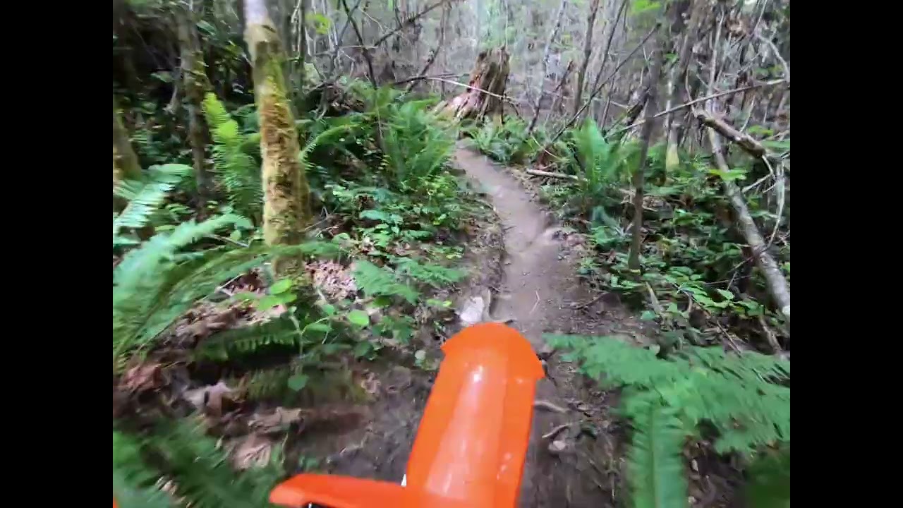 Cassidy Creek June 2025 Full Ride