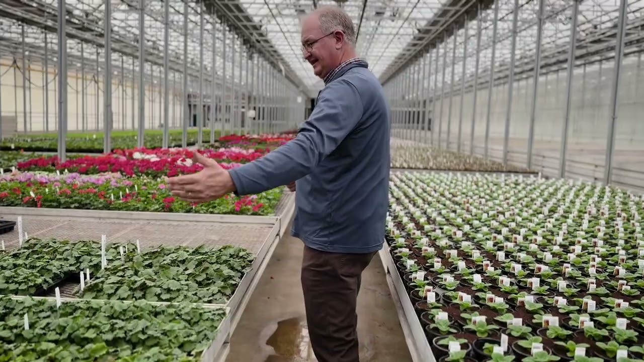 Ask the Expert: Greenhouse Scouting Tips Every Grower Should Know