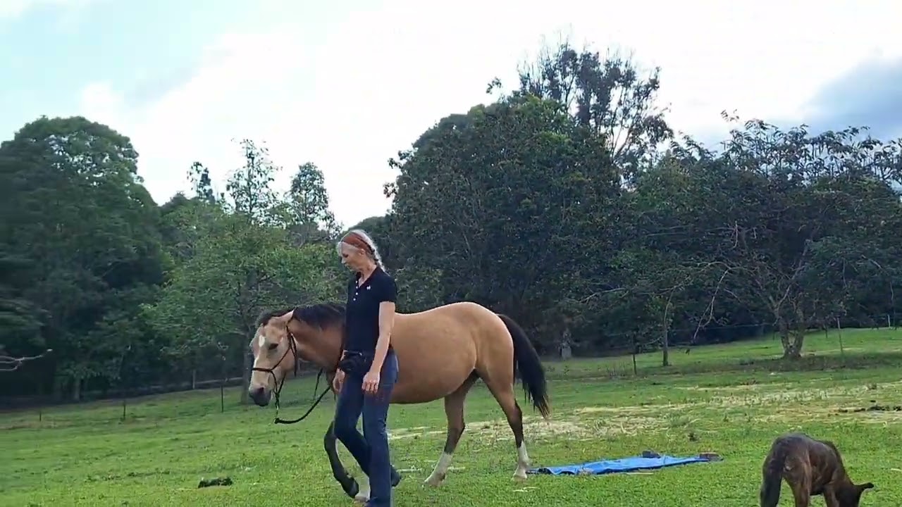 OLHA Green Equagility September 2024 Ineke Keough 