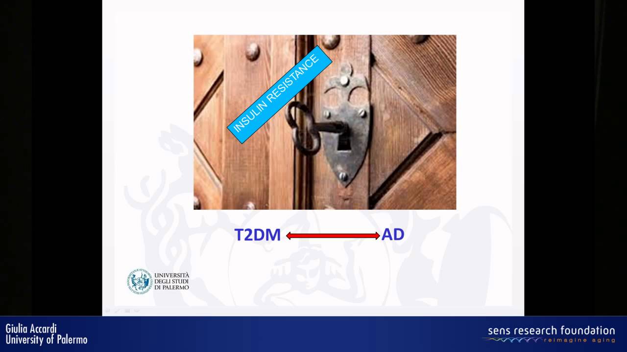 Insulin pathway and its correlation with ageing and age-related diseases - Giulia Accardi