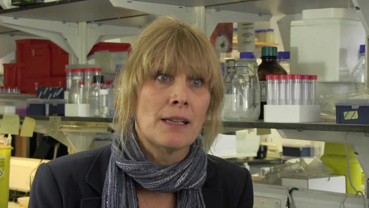 Cancer Research Trials | Cancer Research UK