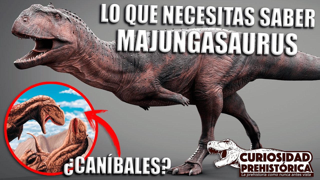 ¡LO QUE NECESITAS SABER DE MAJUNGASAURUS! - ¿Eran dinosaurios caníbales?