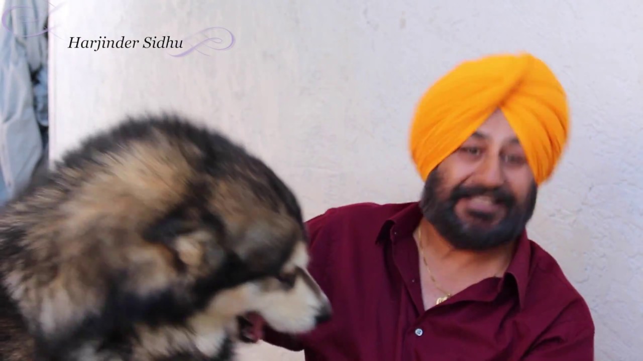 Proud To Be A Sikh | A Turban Sikh | Sidhu DIY