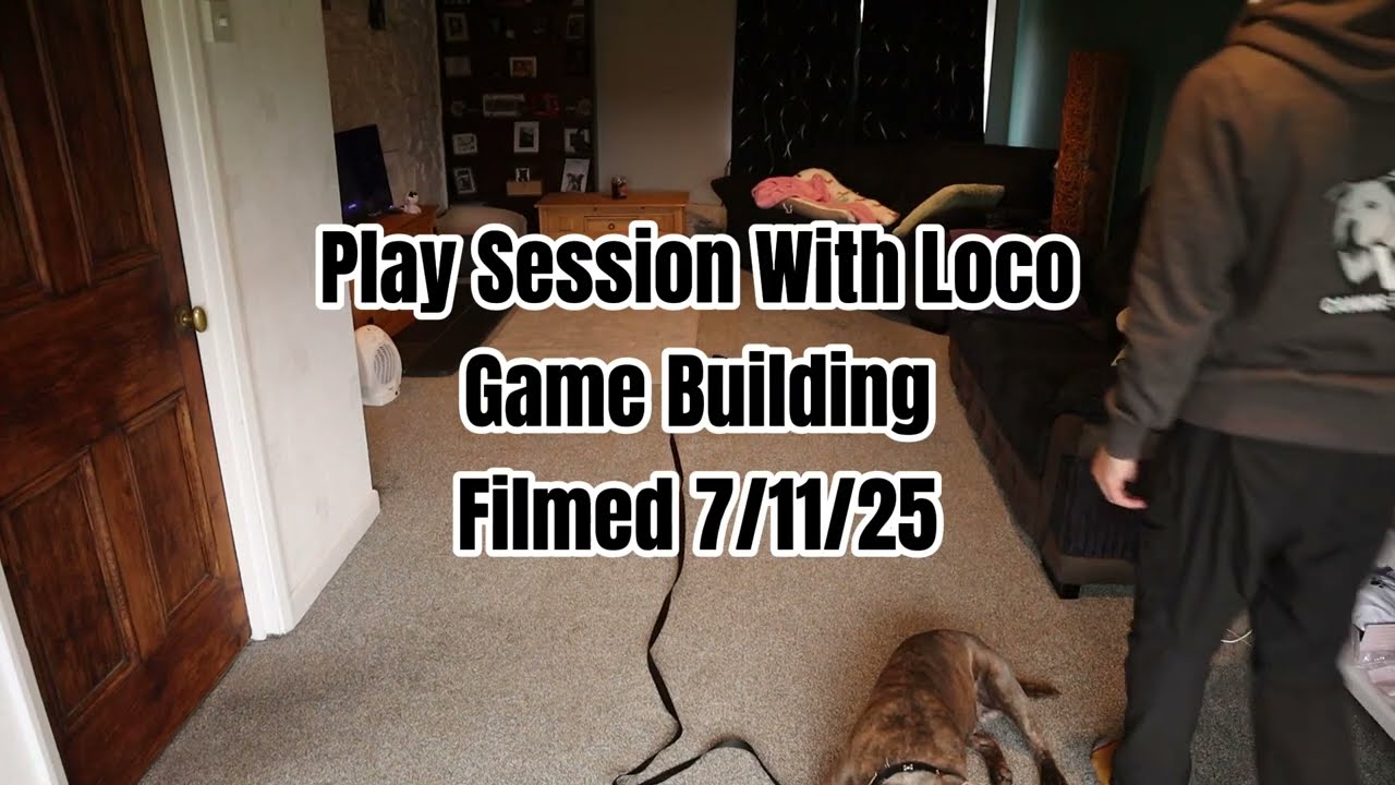 Play session with Loco