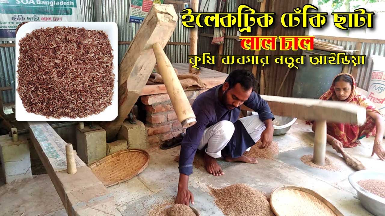 ইলেকট্রিক ঢেঁকি ছাটা লাল চাল । কৃষি ব্যবসার নতুন আইডিয়া ।। Swadesh BD ।।