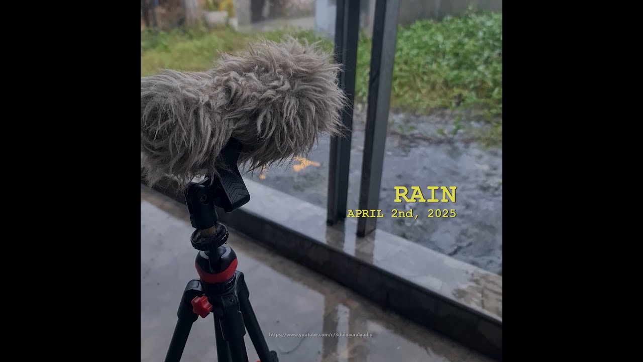 Rain Sounds: April 2nd, 2025 - Sony PCM A10