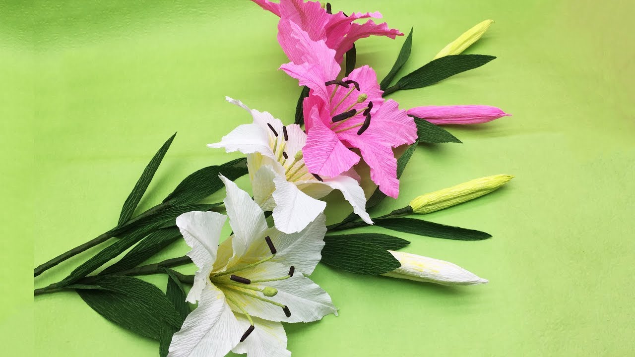 Hướng Dẫn Làm Hoa Ly Từ Giấy Nhún - Trang Trí Ngày Tết | BambooVN DIY