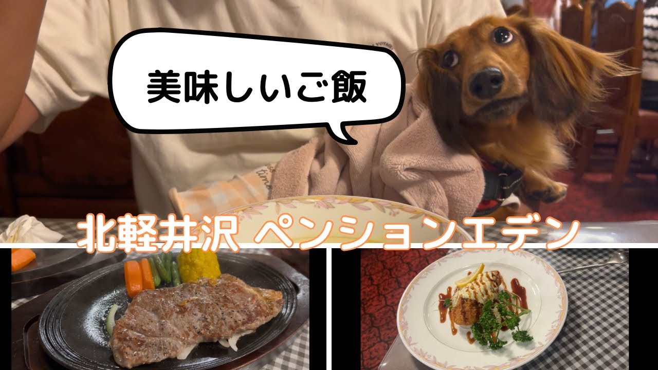 【犬連れ旅行】北軽井沢 ペンションエデン 軽井沢旅行② 202508