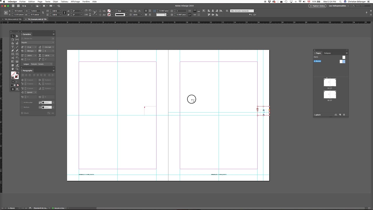 Adobe InDesign / Page précédente + page active