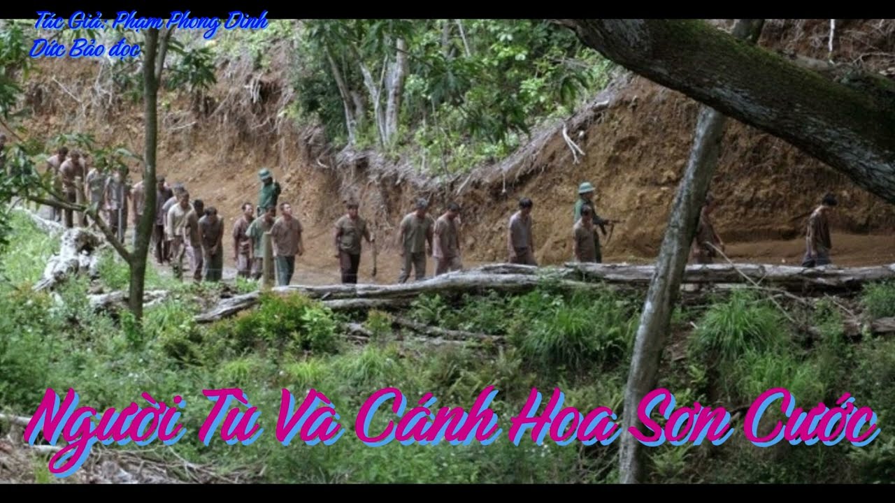 Người Tù Và Cánh Hoa Sơn Cước