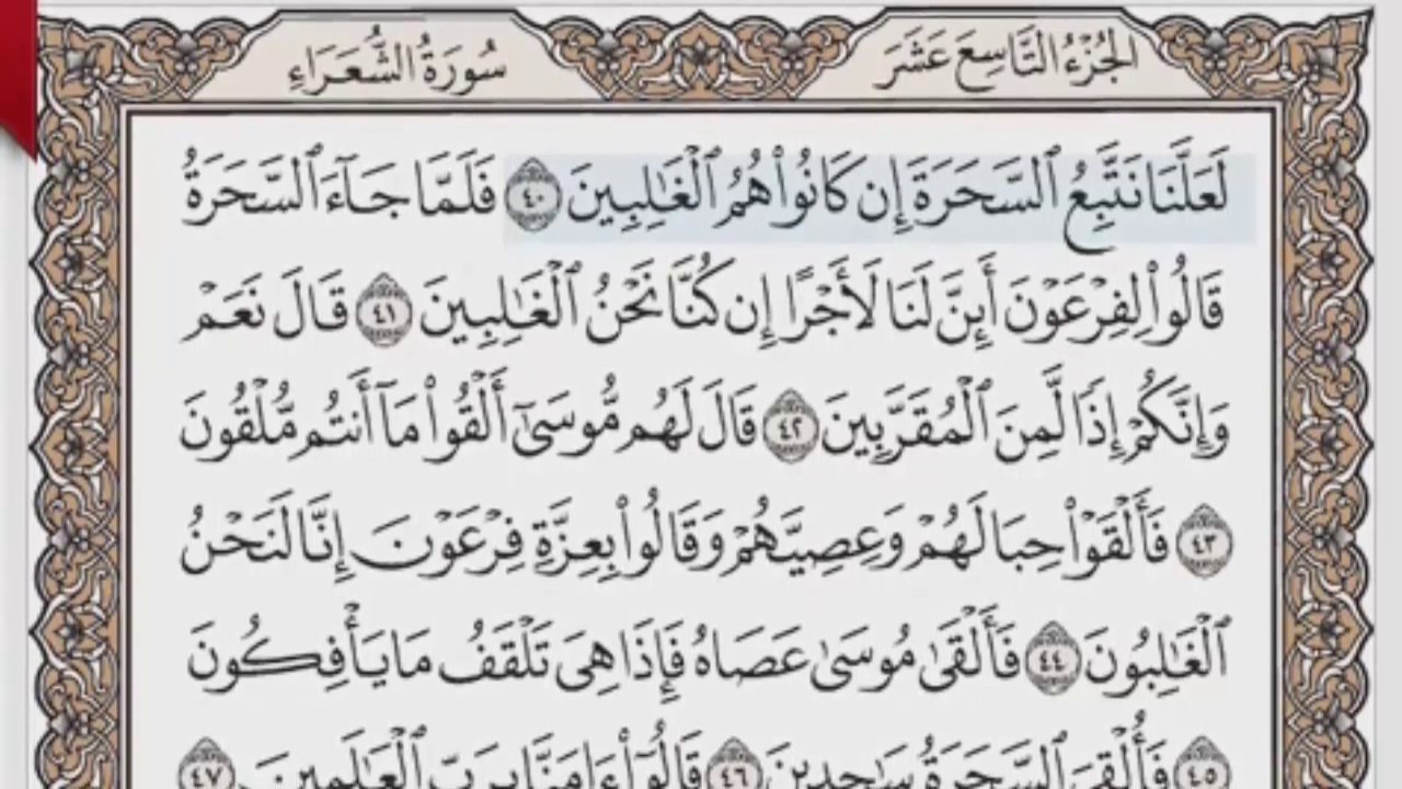القرآن الكريم بالصفحات صوت وصورة ص/ 369 الشيخ محمود خليل الحصري بمد المنفصل