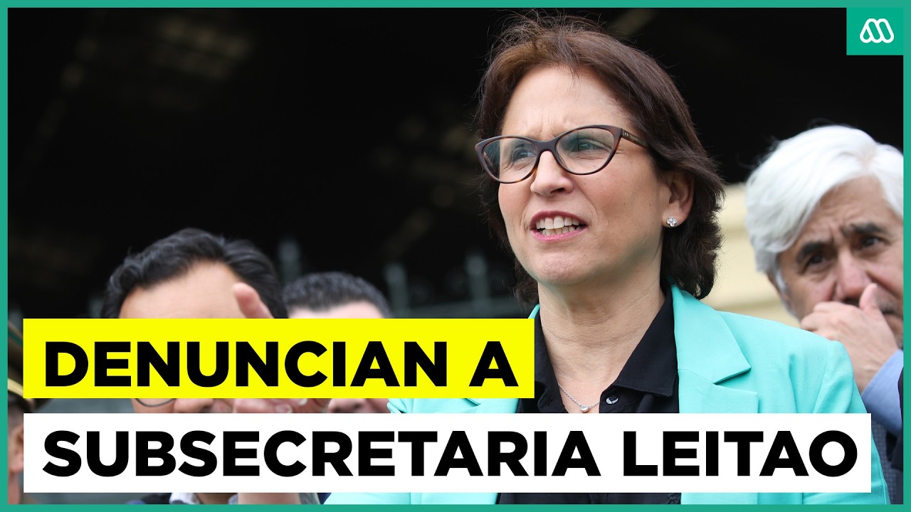 Denuncian a subsecretaria Carolina Leitao por presunto fraude al fisco