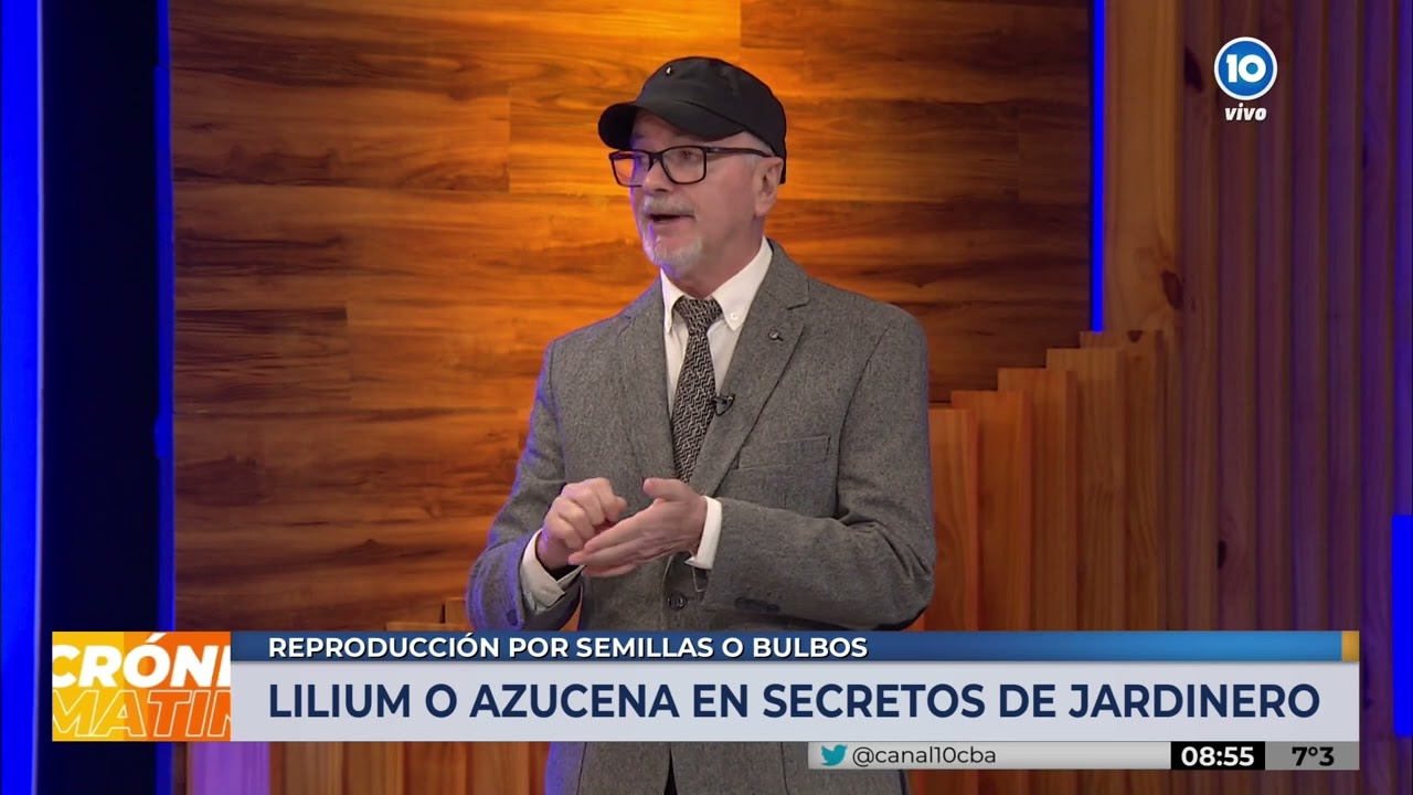 LILIUM O AZUCENA en los SECRETOS DE JARDINERO (tips de @viveroterapia)