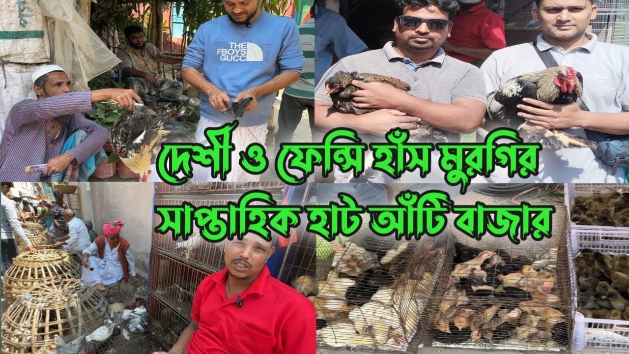 ￼আটিবাজার সাপ্তাহিক হাট । হাঁস মুরগির দাম ।কেরানীগন্জের আটি বাজার । সাপ্তাহিক হাট বাজারের হাঁস মুরগি