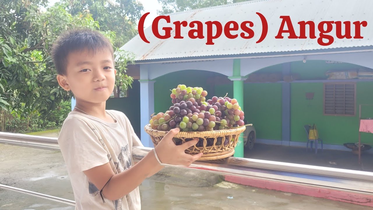 Angur (grapes) khara hekcharure ngashi