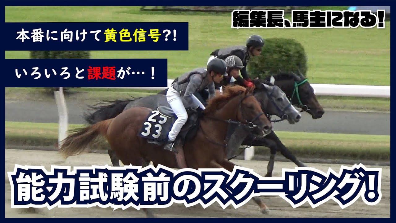 【編集長馬主になる！】#30　実戦形式になって色々な課題が発生！能力試験に向けてスクーリングをしました！