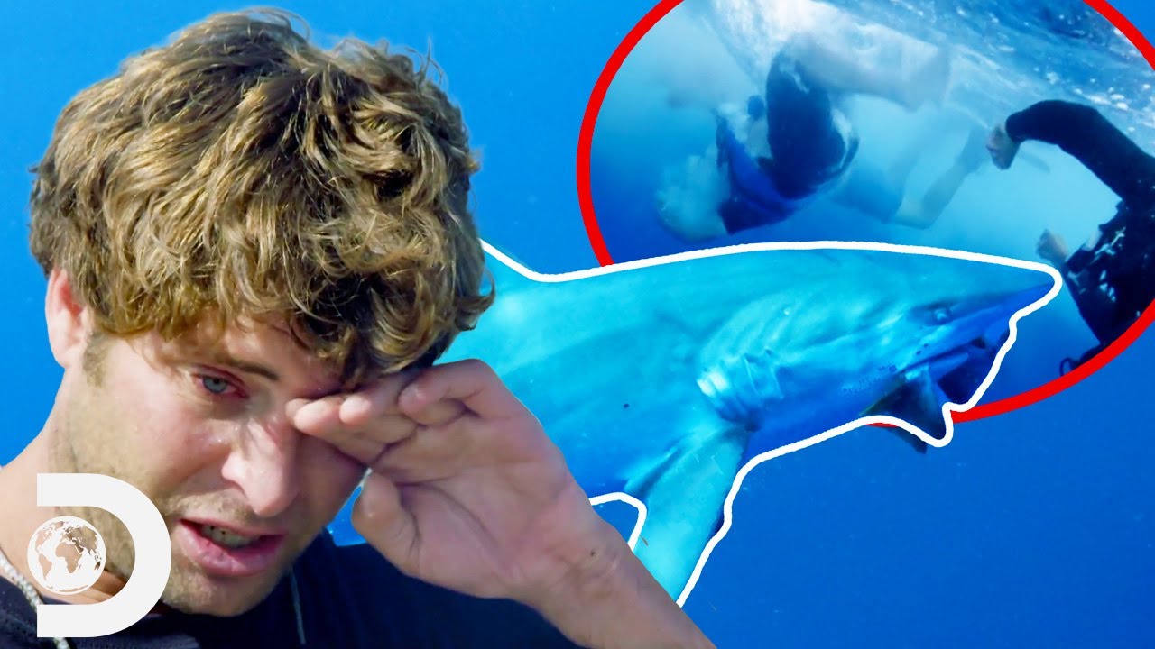 Poopies Was ATTACKED During Shark Week Stunt | Jackass Shark Week 2.0