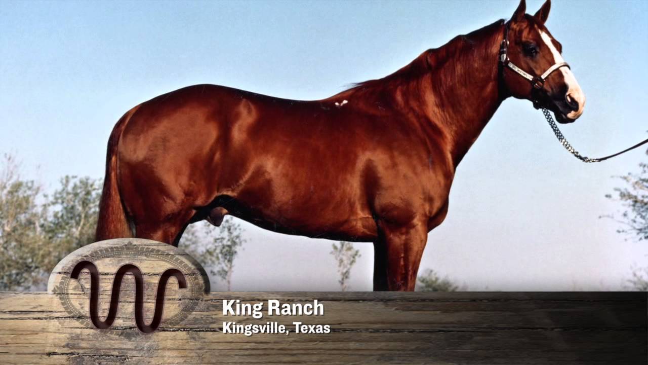 AQHA 75-Year Breeder Salute