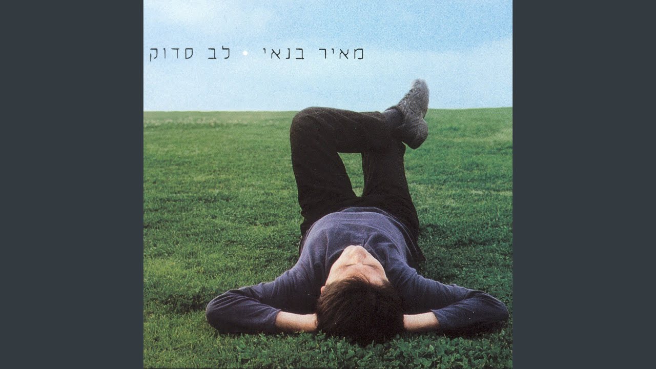 לב סדוק