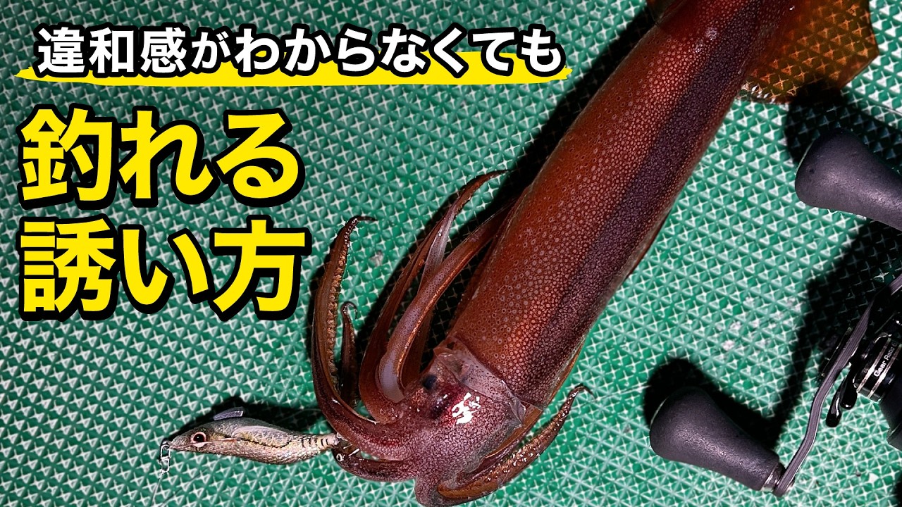 【イカメタル】釣果の差はコレで決まる！誘いで悩んでる人必見｜ルアルアチャンネル第549回（4/18）