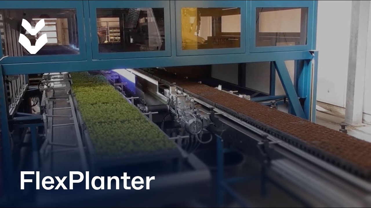 TTA-ISO FlexPlanter at Skogplanter Østnorge AS