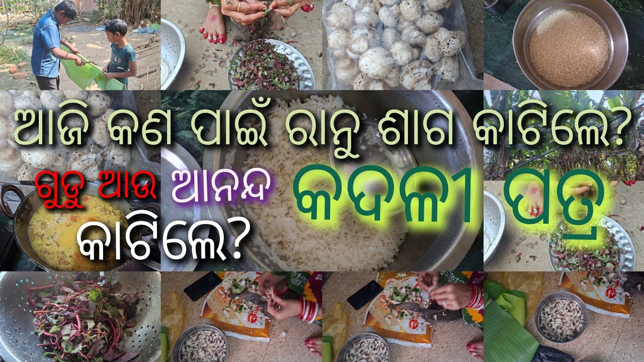 ଆଜି କଣପାଇଁରାନୁଶାଗକାଟିଲେ ଓ ଗୁଡ଼ ଓ ଆନନ୍ଦ କଦଳୀପତ୍ରକାଟିଲେ। #odiavlog #odia #odiarecipe #odisha #village 