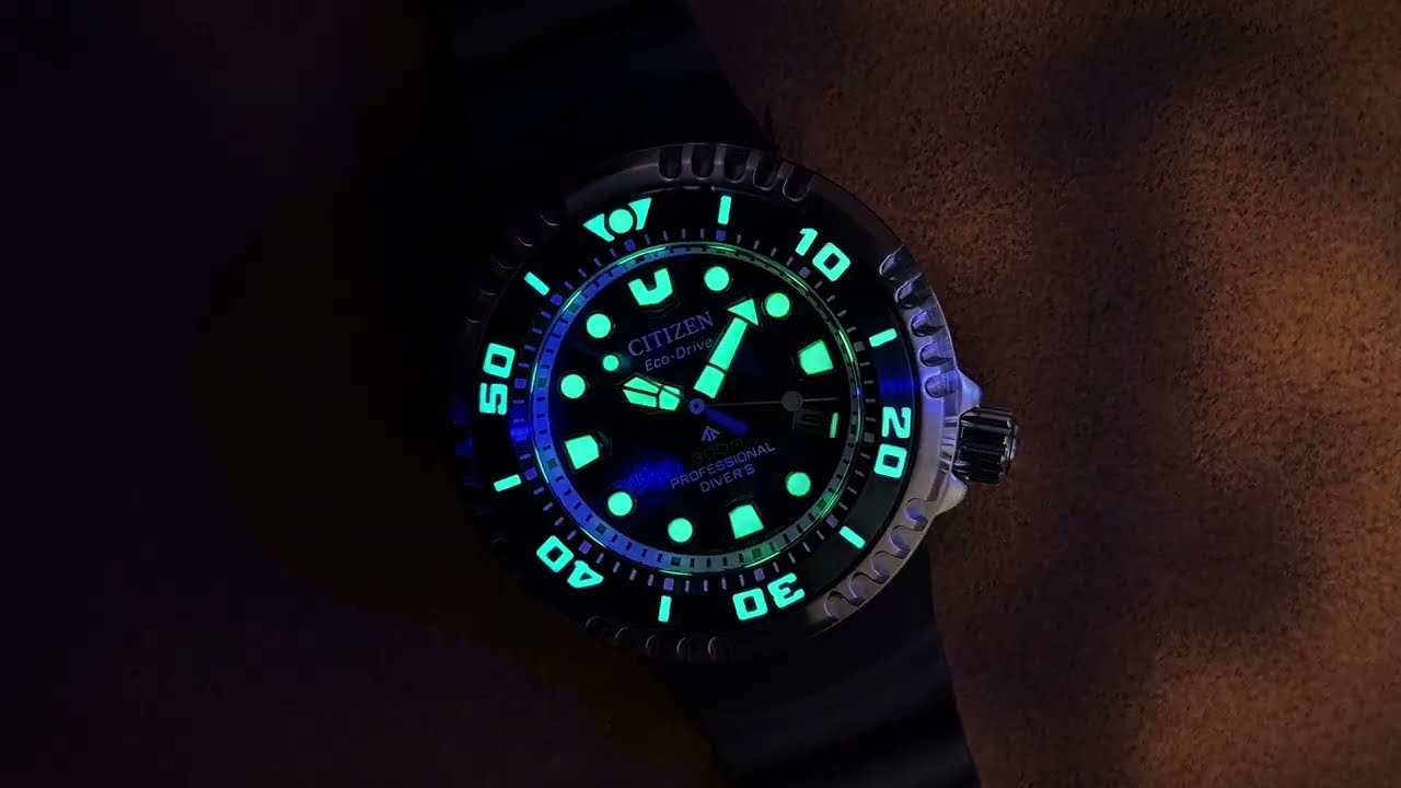 Citizen Promaster Eco Drive BN1025 08L | Relojoaria Impala