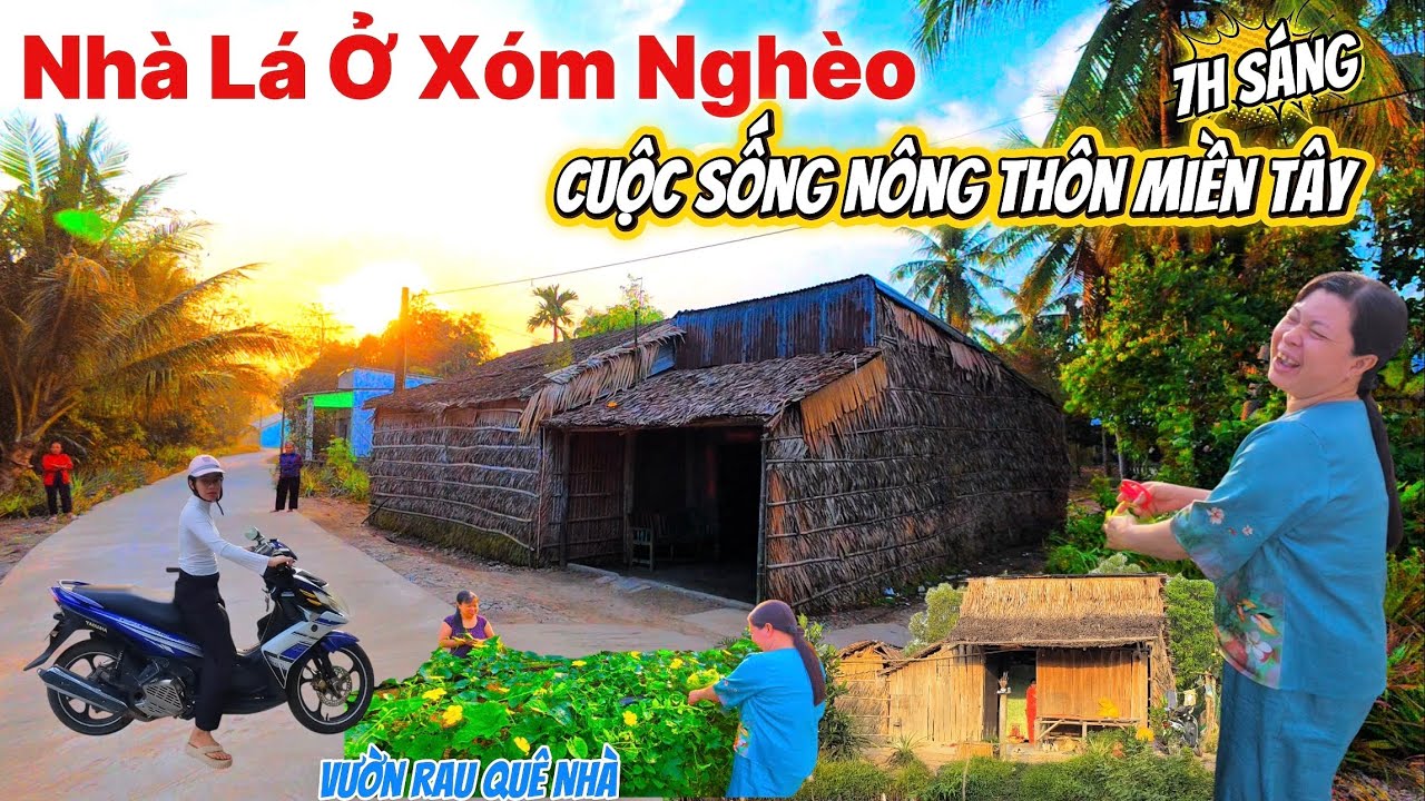 NHÀ LÁ QUÊ - Tìm Về Cuộc Sống Bình Yên Ở Làng Quê Buổi Sáng Sớm, Vườn Rau Tự Trồng.
