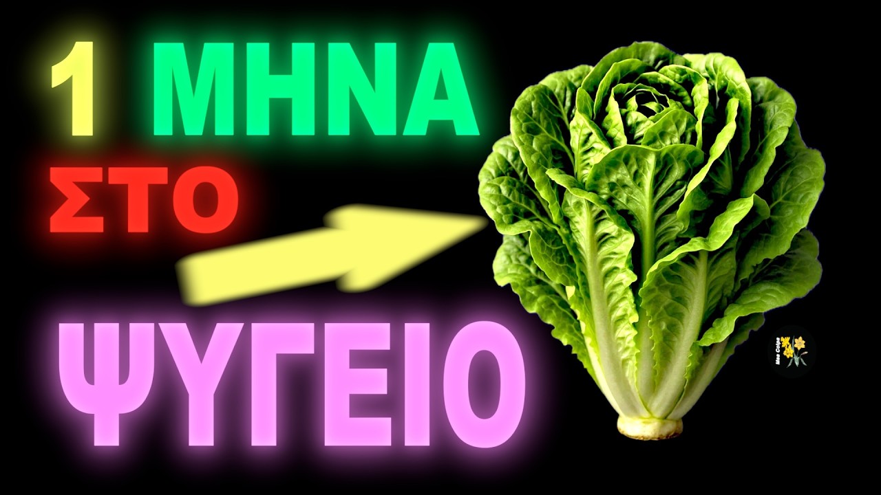 Сохраните свежесть салата на 1 месяц – трюк со стеклянной банкой!