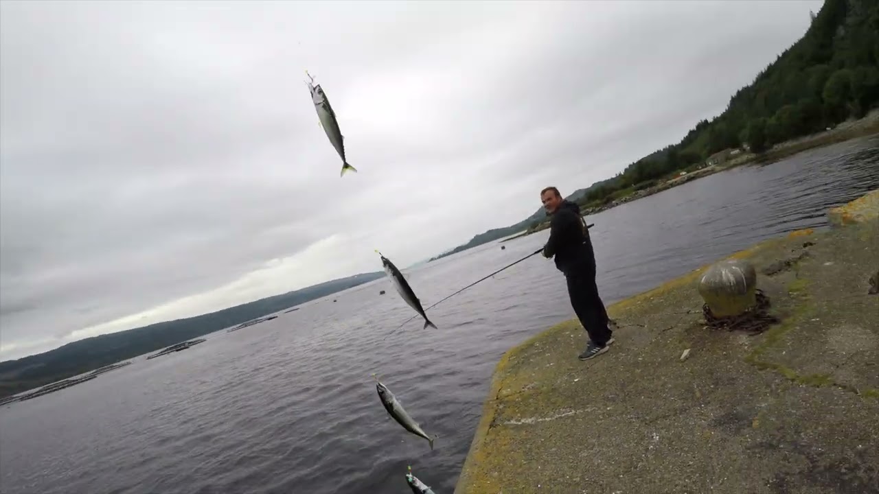 Mackerel Fishing at Furnace - West Coast - Scotland