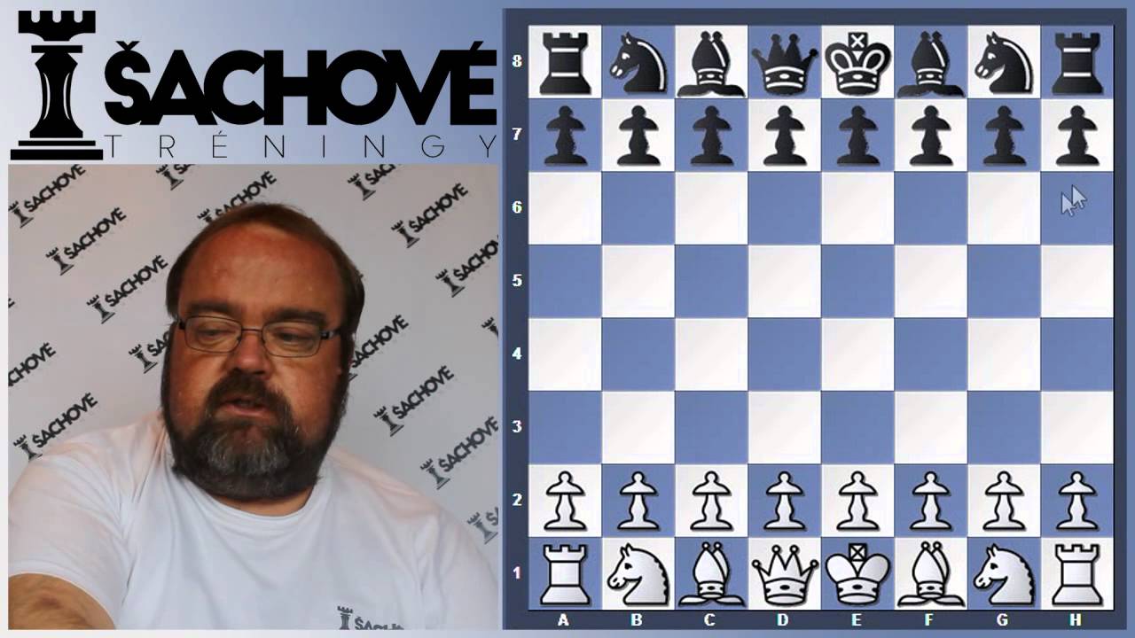 Peter Paleček - 
