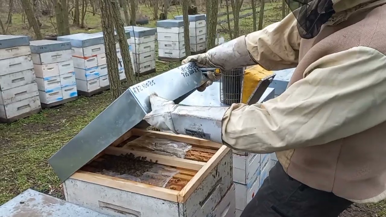 Сироп в середине февраля 