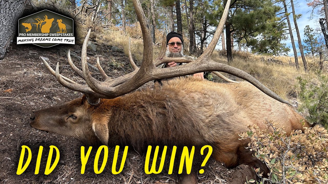 Pro Membership Sweepstakes Drawing for Premium Elk Hunt!