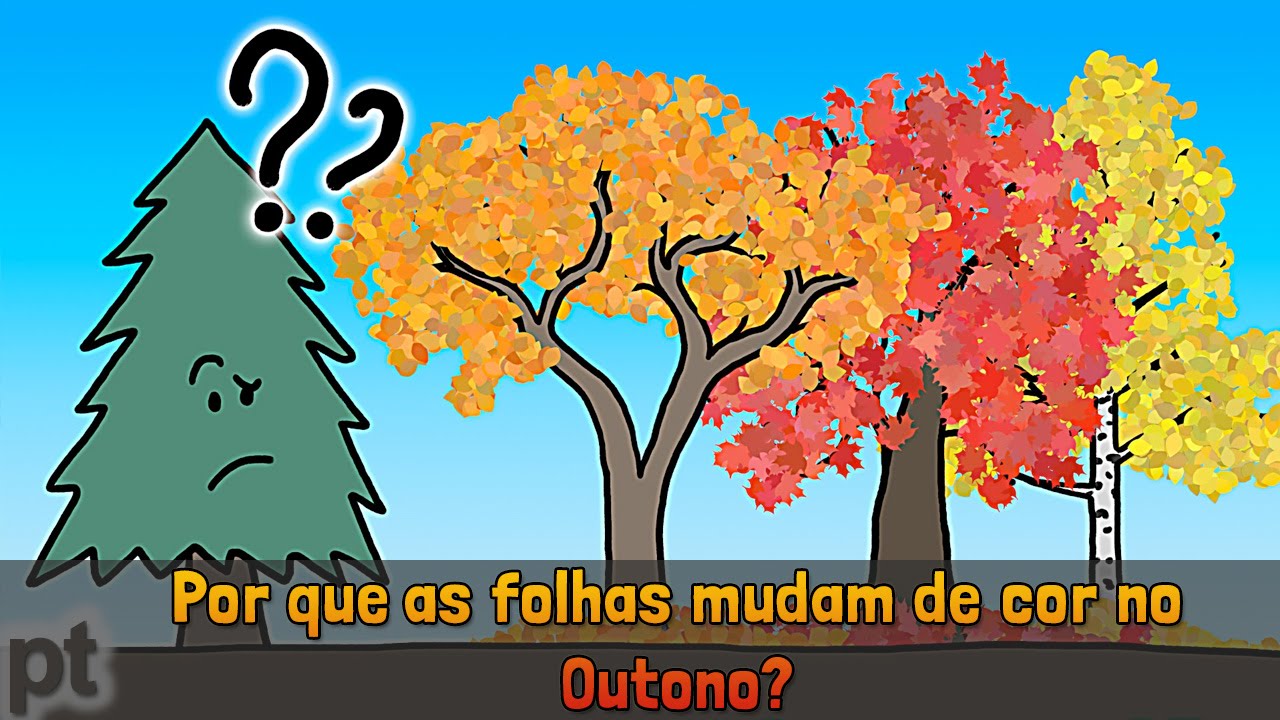 Por que as folhas das árvores mudam de cor no outono? | Minuto da Terra