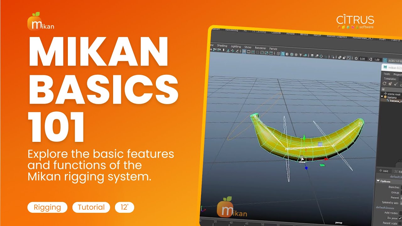 Mikan Tutorial 01 - The Basics