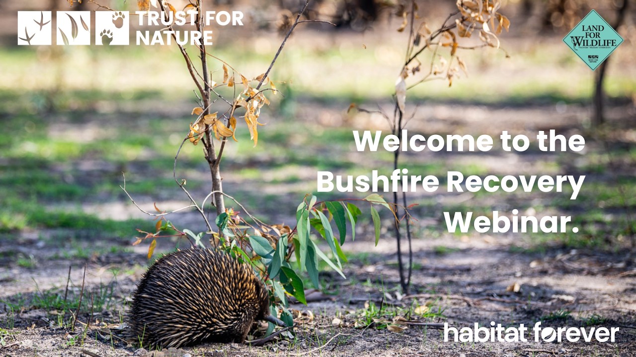 Bushfire Recovery