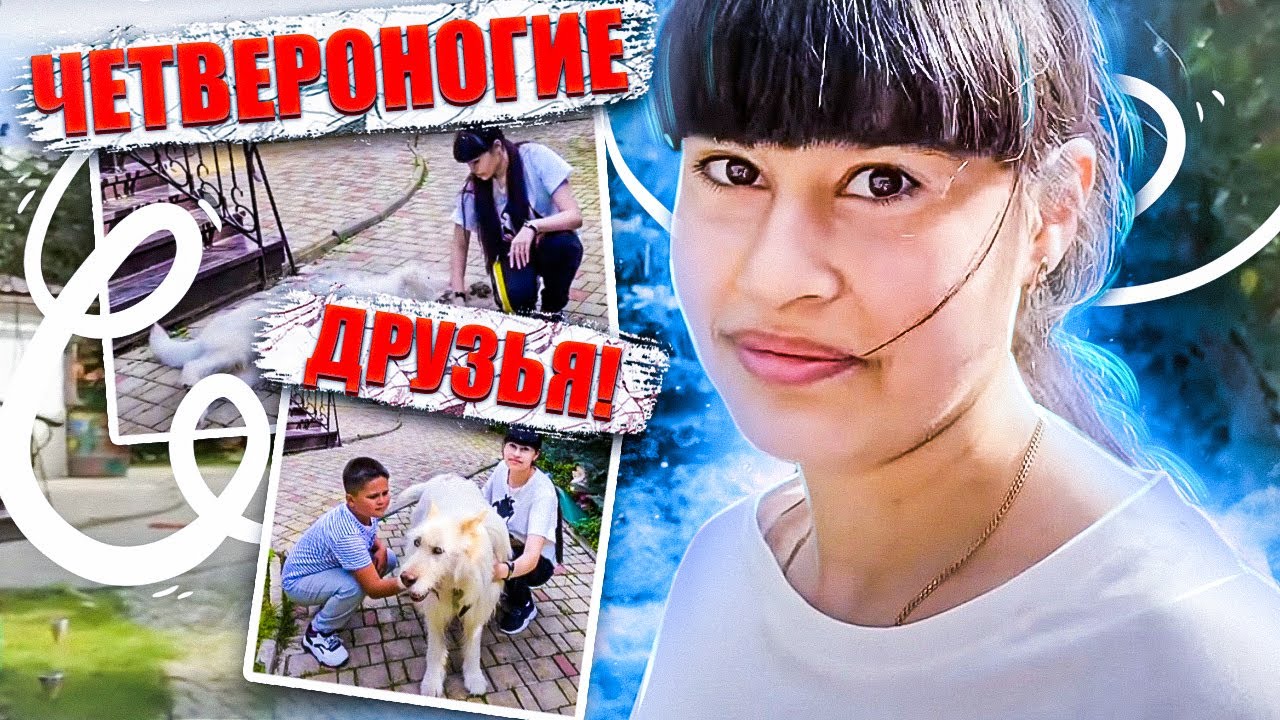 Диана Анкудинова (Diana Ankudinova) Четвероногие друзья!🐶