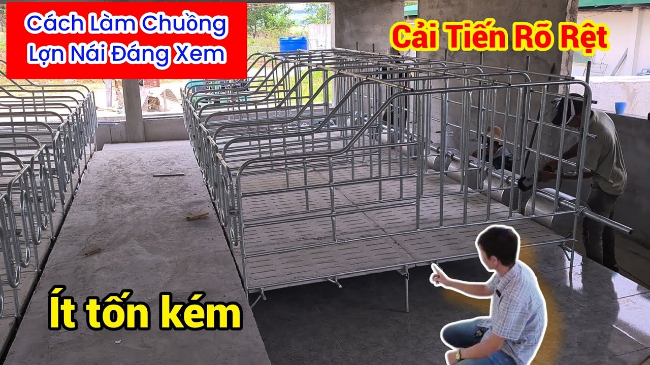 Cách Làm Chuồng Lợn(Heo) Nái Mới Nhất | Khởi Nghiệp TV